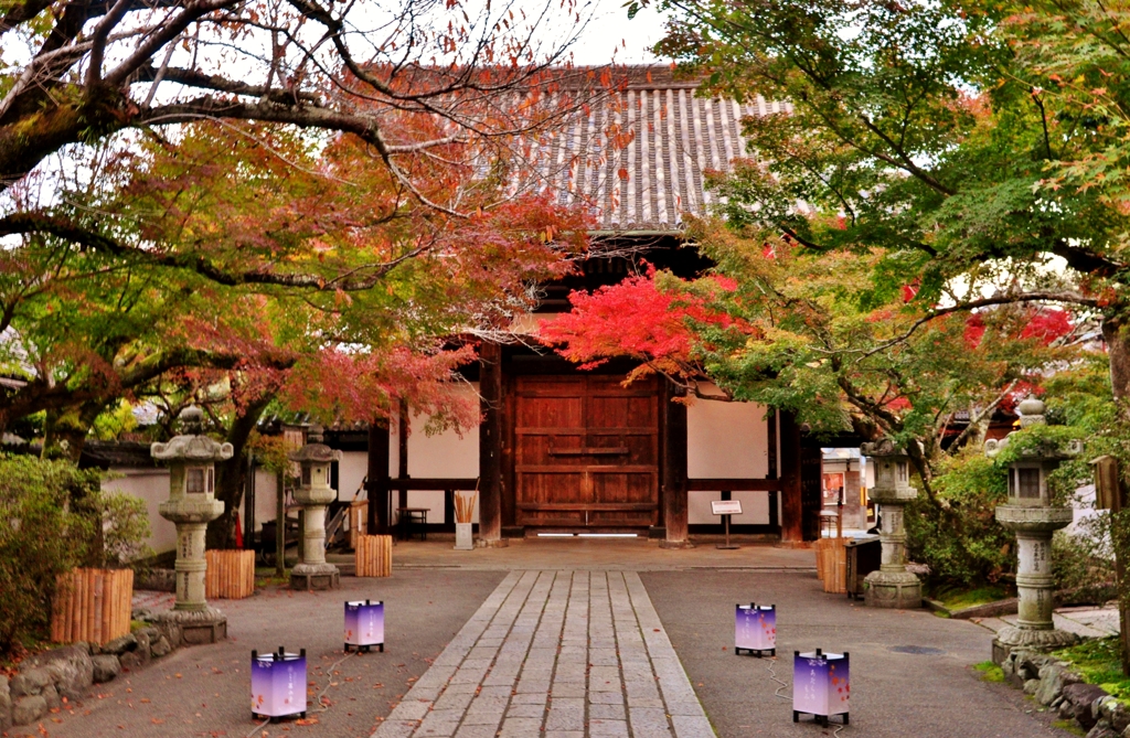 石山寺秋ぶらり　14　紅葉の東大門家衛門