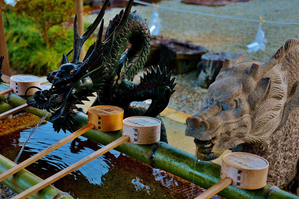 沙沙貴神社　手水　2-1