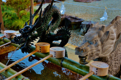 沙沙貴神社　手水　2-1