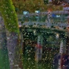 水滴の風景画