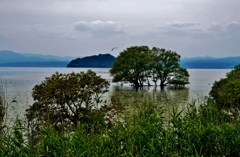 湖北寸景