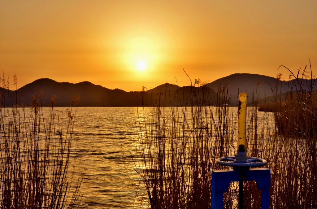 西の湖春夕日