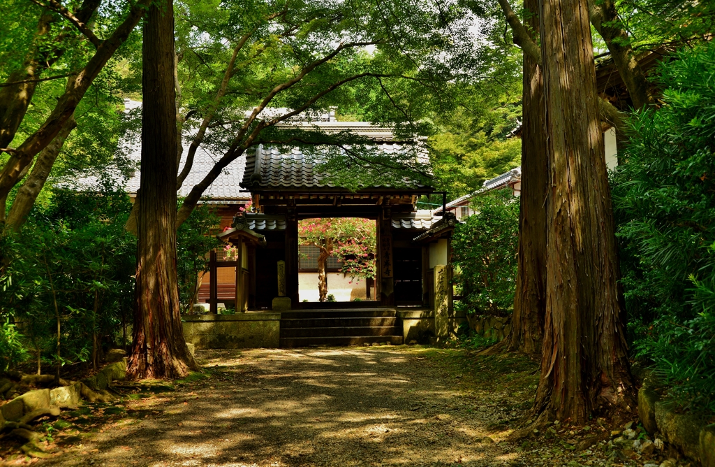 近江の名刹・青岸寺　山門