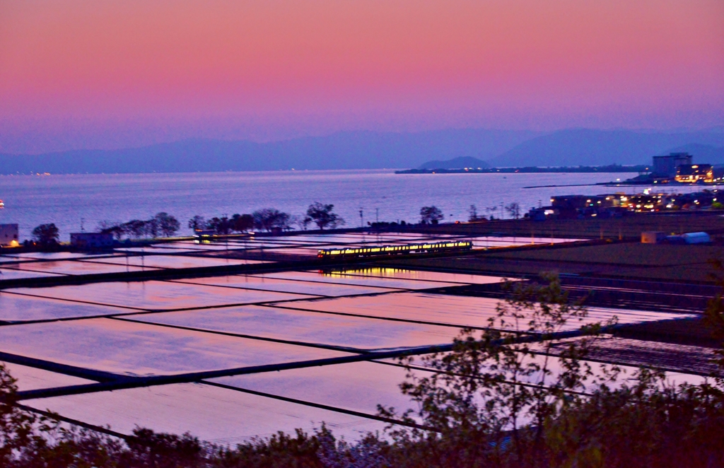 夕暮れの湖辺水田