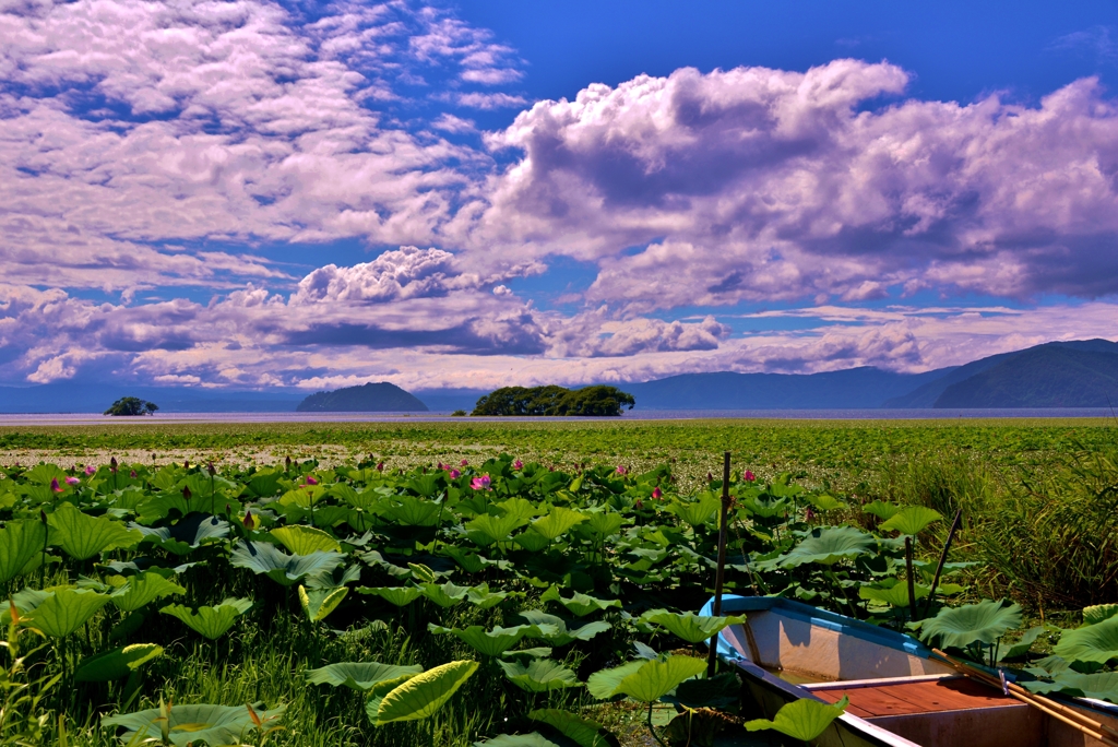 湖北夏風景