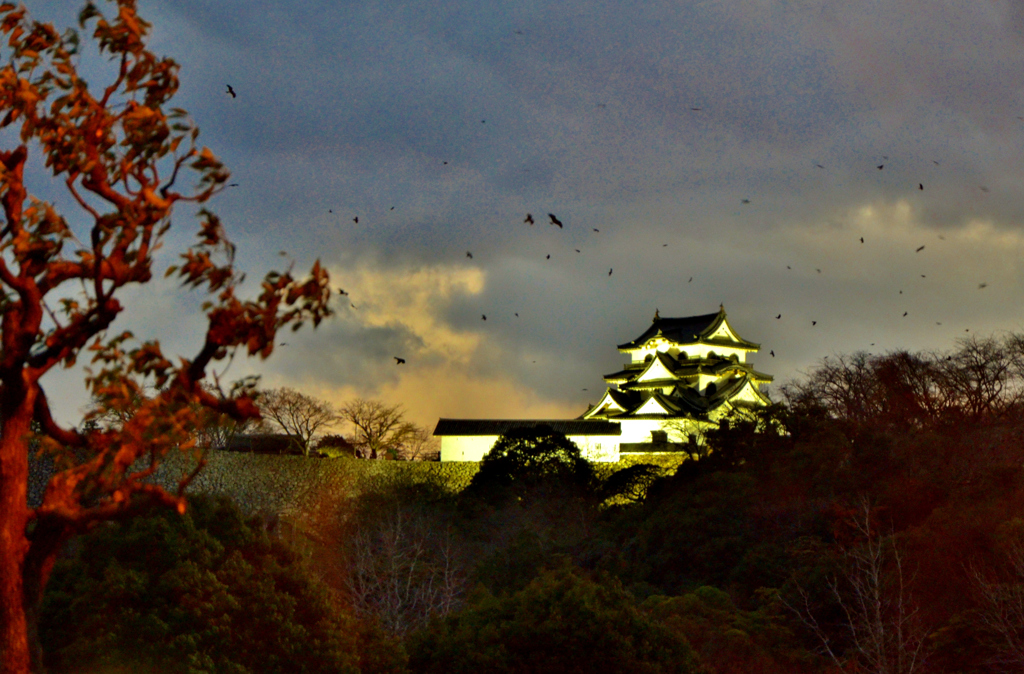 宵の彦根城