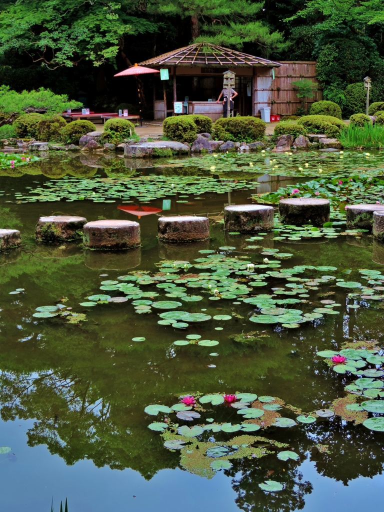 平安神宮中神苑