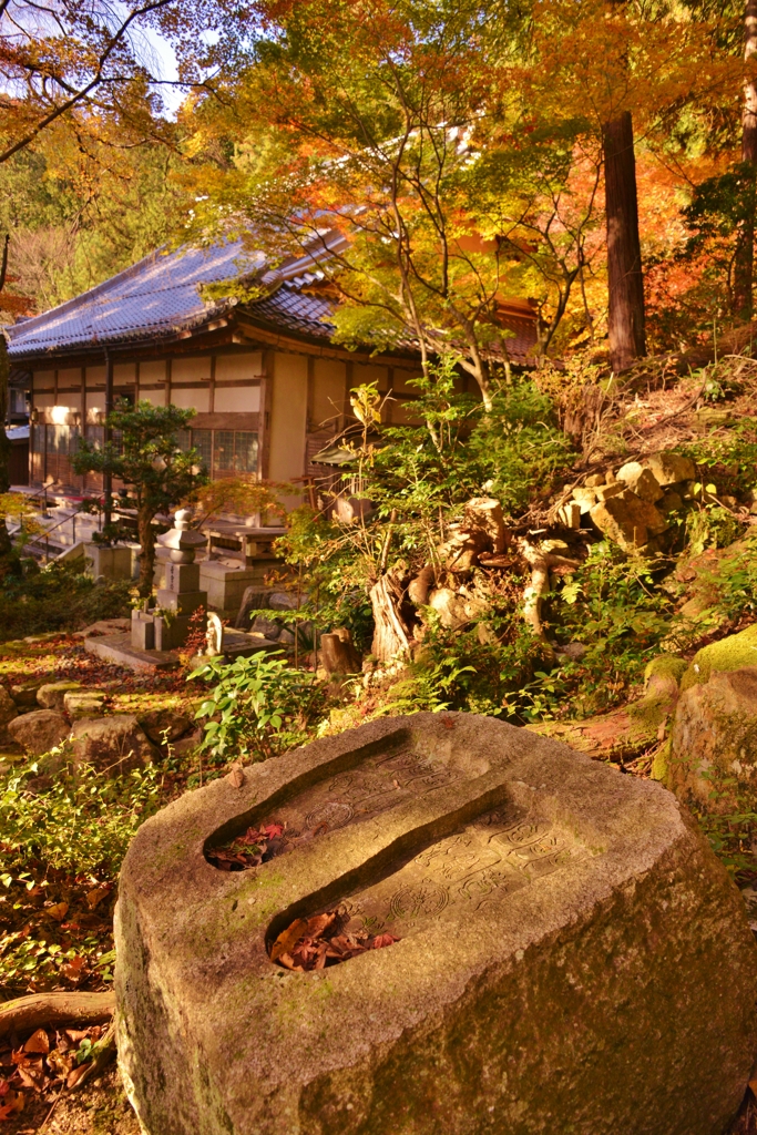 彦根の名刹延寿禅寺　秋ぶらり　18