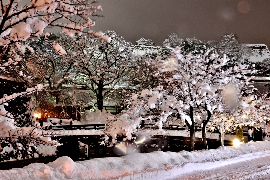 雪夜景・彦根城　Ⅲ