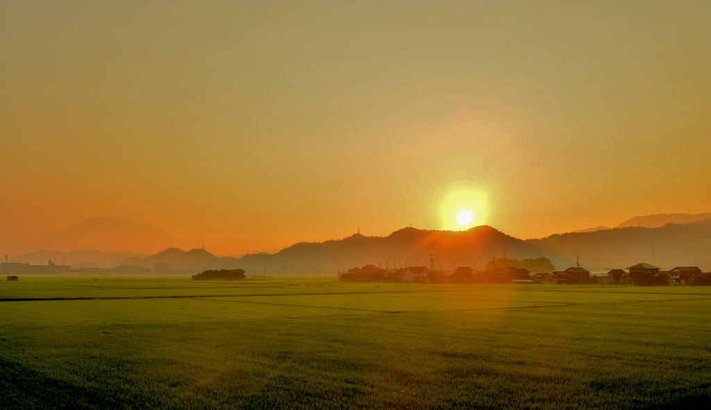 田園朝景