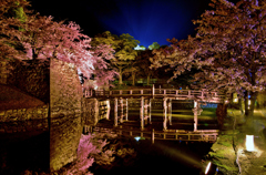 彦根城表門橋夜桜