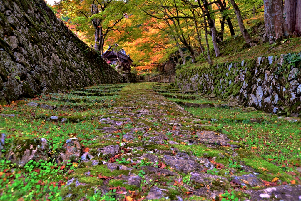 湖東三山百済寺　表参道（石段）　2