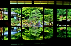 庭園の新緑映す青岸寺