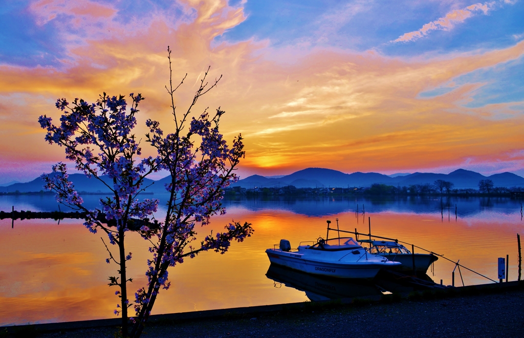 西の湖春夕景