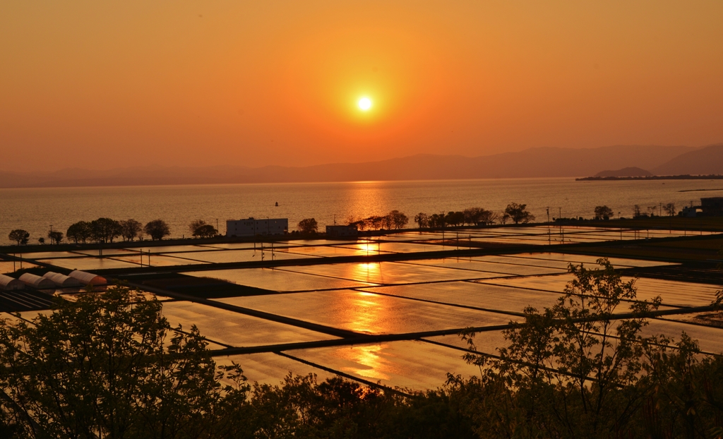 輝水田の夕日