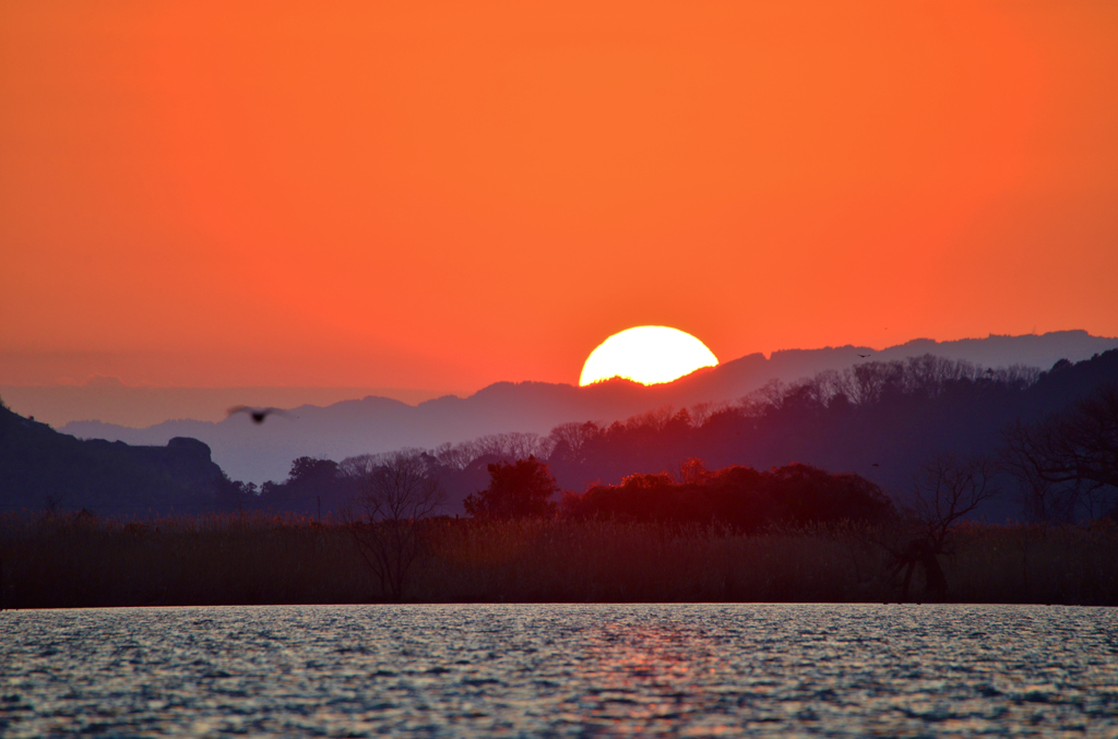 西の湖日の入り