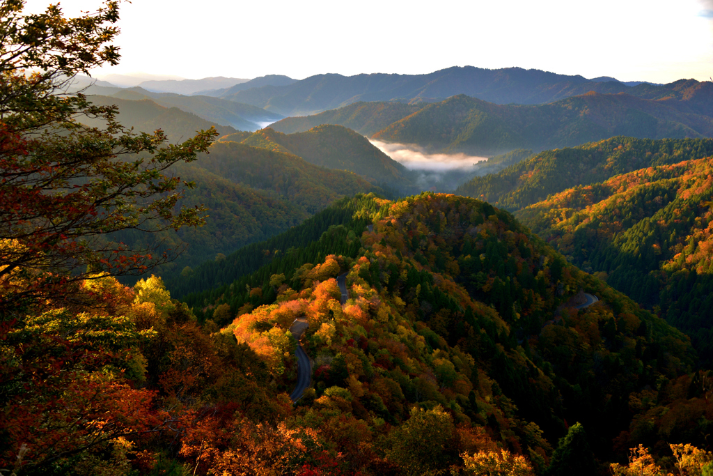 天空の道　小入峠・雲海紅葉　8-8