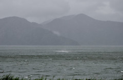 奥琵琶湖の時雨