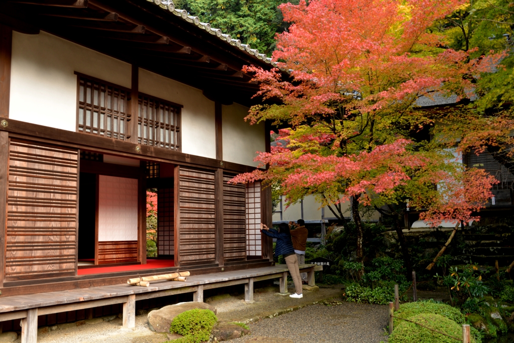 秋ブラ散歩金剛輪寺　3