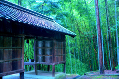 随身門（南宮神社）