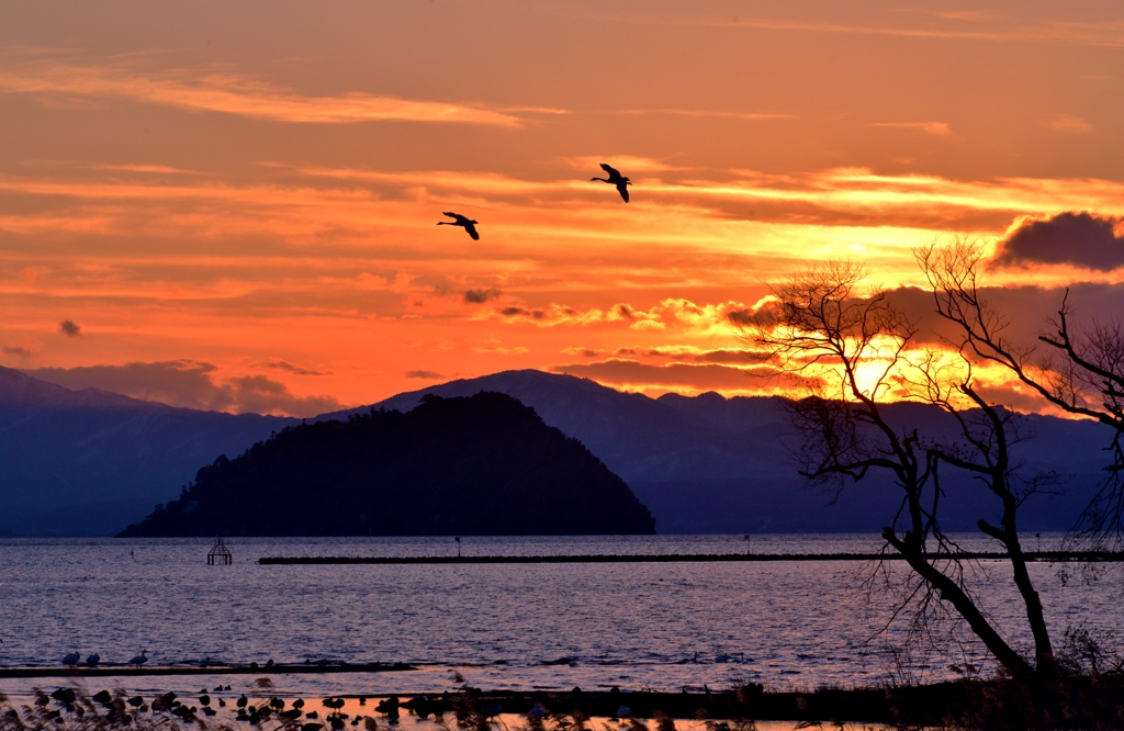 冬夕暮れの竹生島