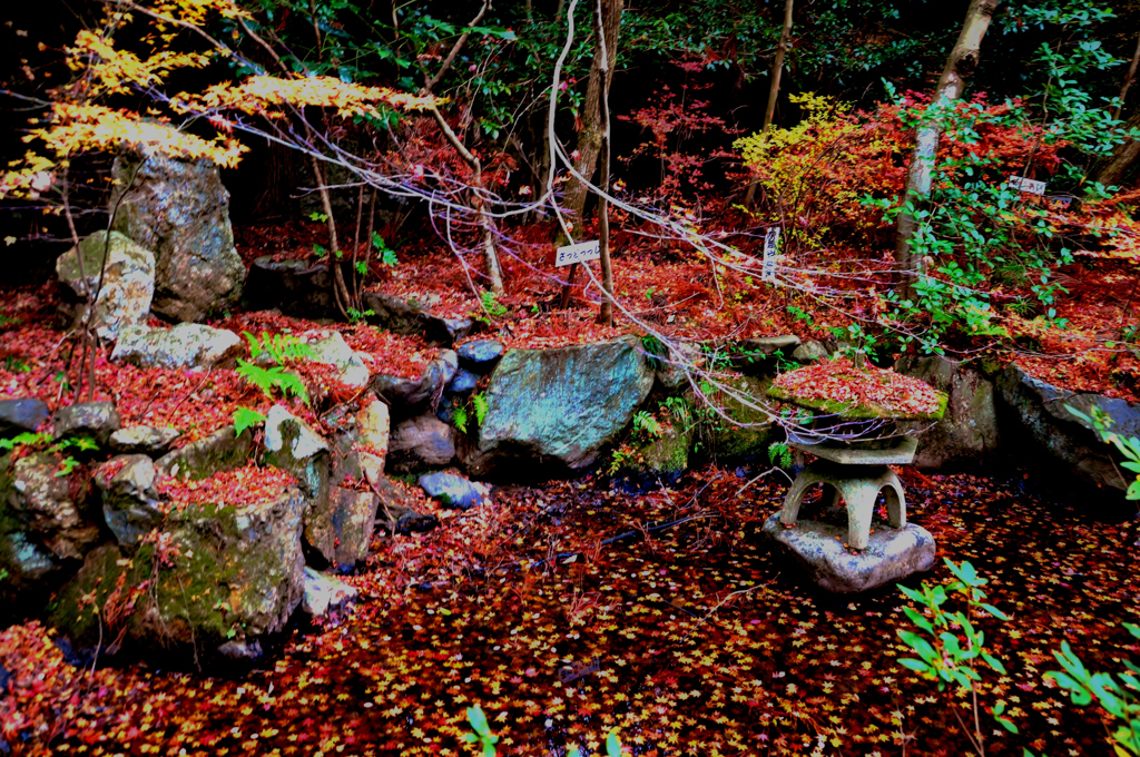 洛葉名越寺平等院庭園