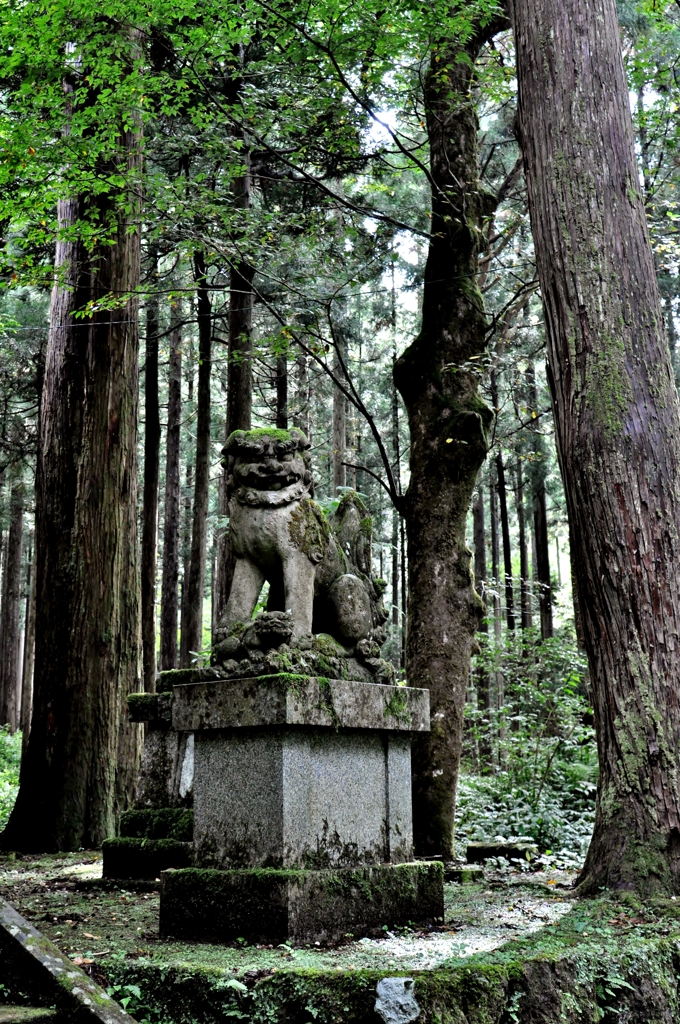 大杉神社　狛犬阿形