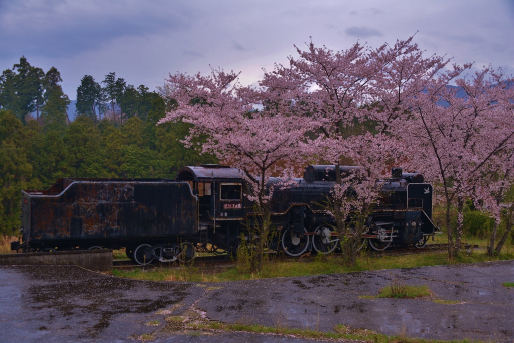 SL廃墟桜　Ⅳ