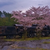 SL廃墟桜　Ⅳ