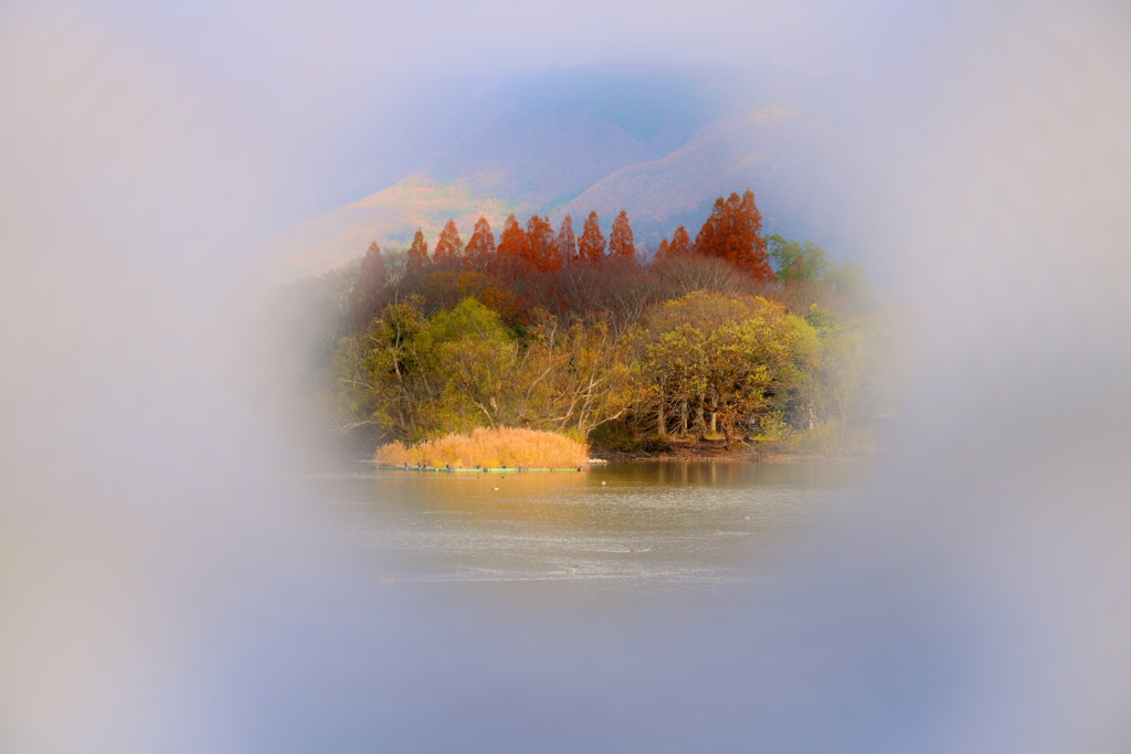 覗く小さな秋