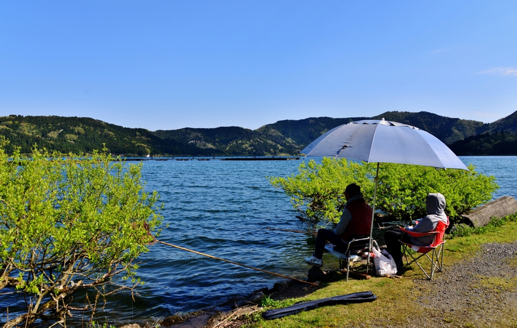 長閑な釣り人