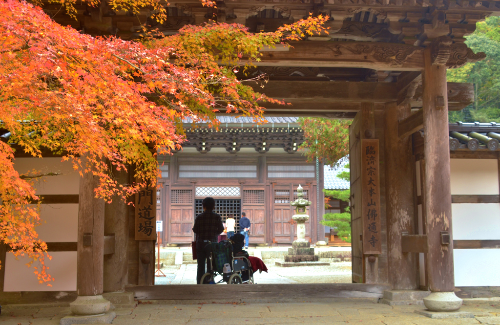 佛通寺紅葉　Ⅳ