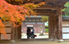 佛通寺紅葉　Ⅳ