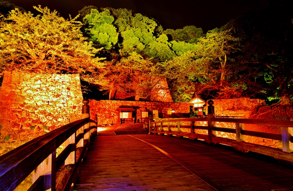城あかり・彦根城表門　Ⅱ