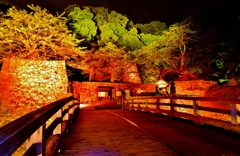 城あかり・彦根城表門　Ⅱ