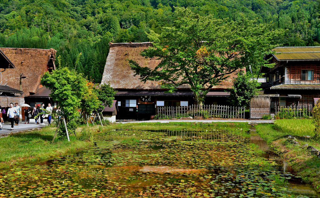 息づく日本の風景