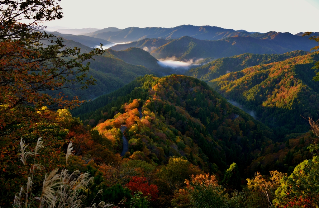 晩秋の小入峠