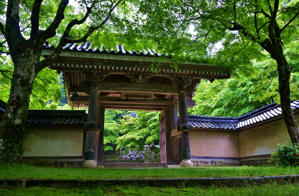 新緑の古刹東光寺　Ⅱ