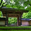 新緑の古刹東光寺　Ⅱ