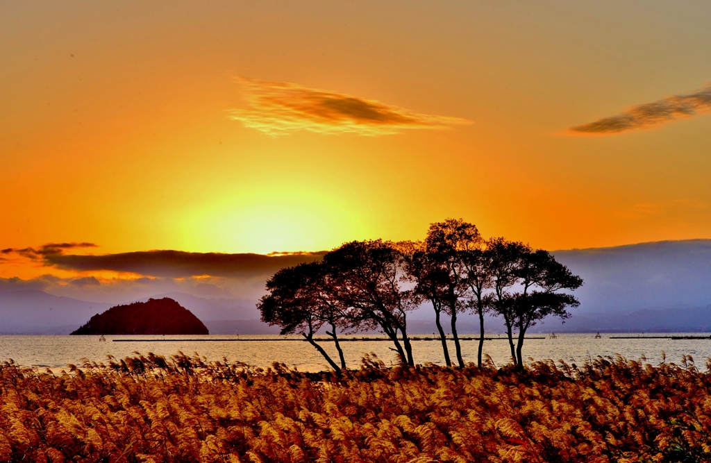 晩秋の夕暮れ By 近江源氏 Id 写真共有サイト Photohito