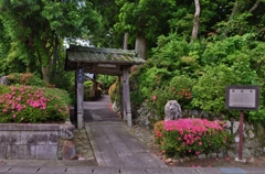 さつき寺・雲迎寺山門