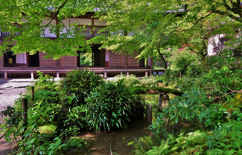 金剛輪寺明寿院・書院南庭（桃山時代）