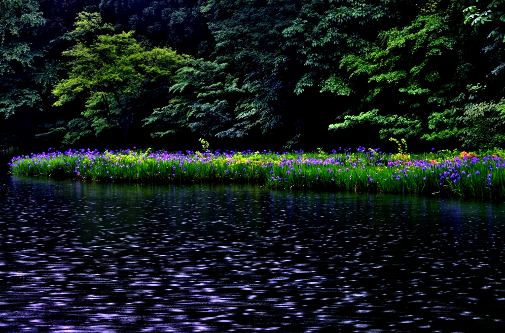 深緑の平池