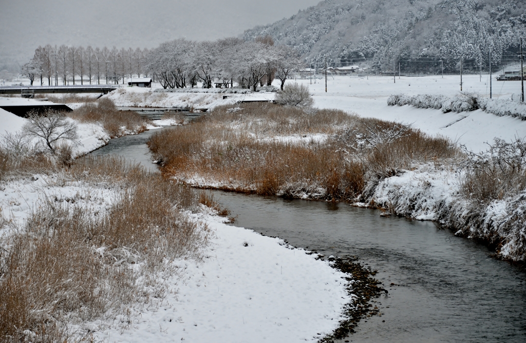 知内川雪景