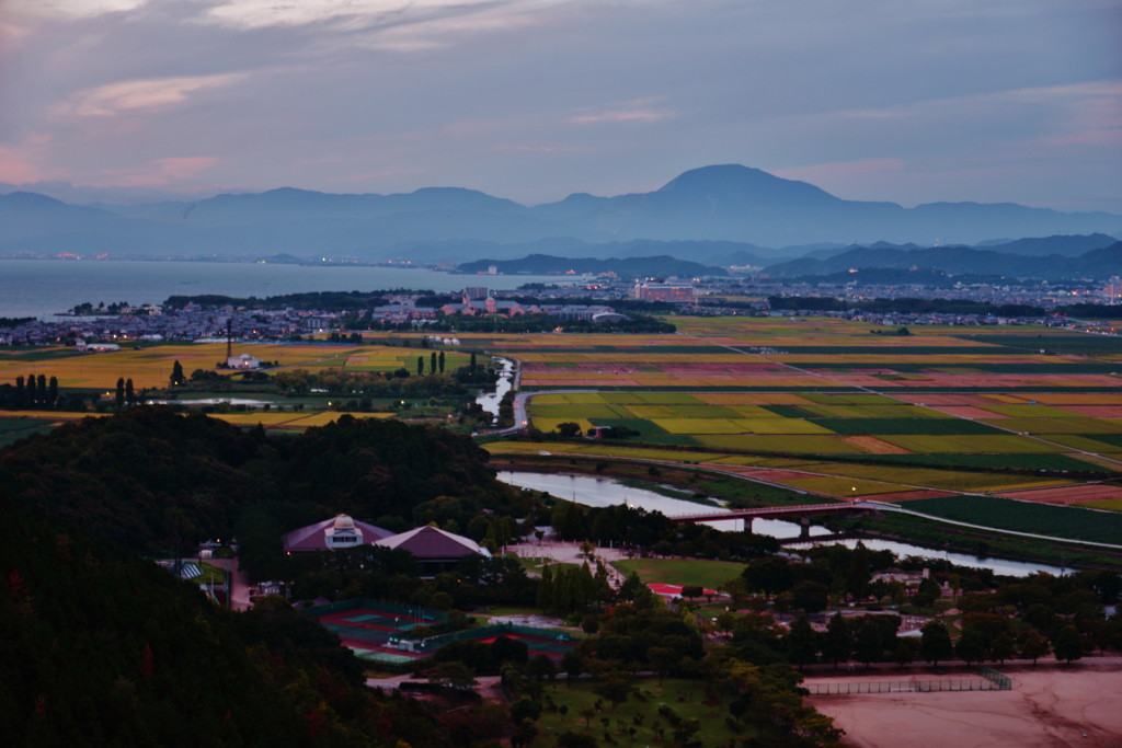 田圃のある風景