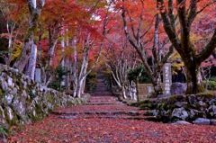 鶏足寺（旧飯福寺）紅葉