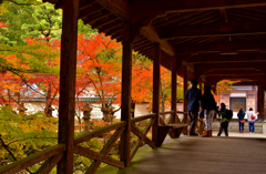佛通寺紅葉　Ⅵ