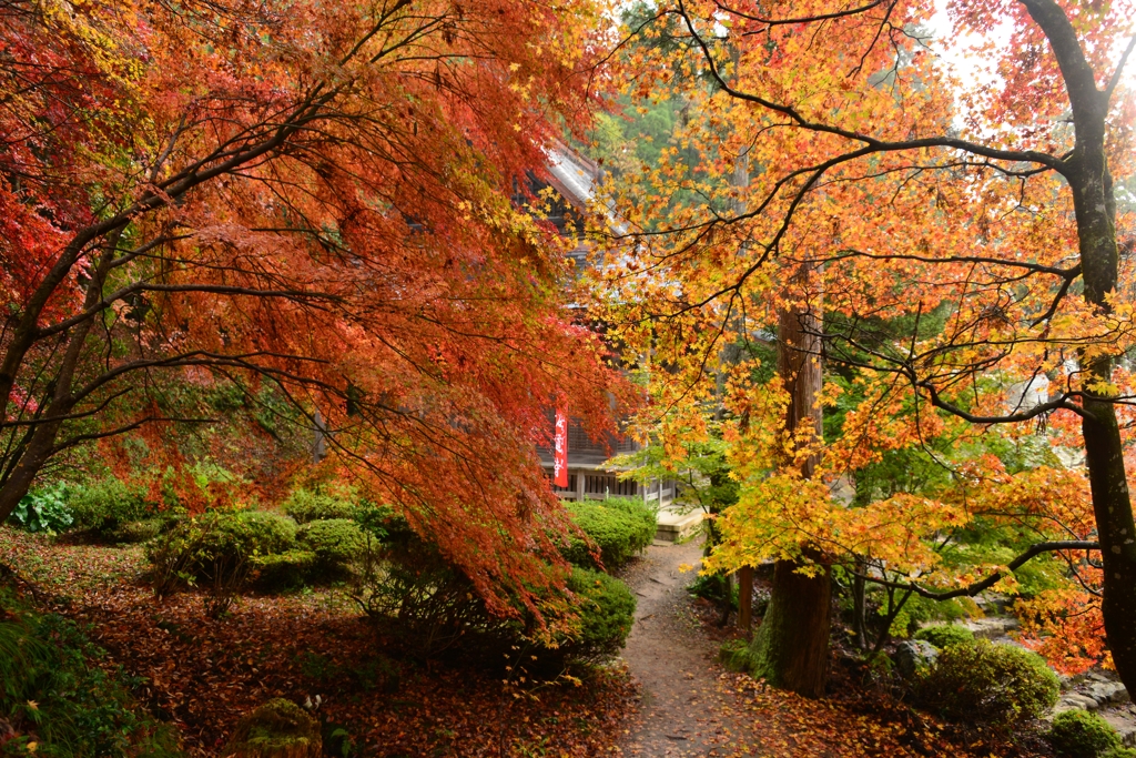 紅葉の石道寺