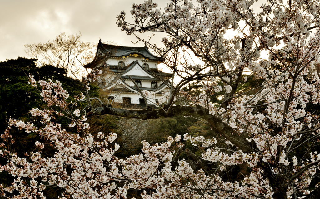 花の生涯