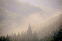 山霧